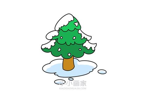 冬天的松树简笔画画法图片步骤_小小画家