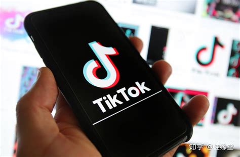 如何更好利用TikTok广告投放？这篇文章告诉你 | TikTok海外营销专家