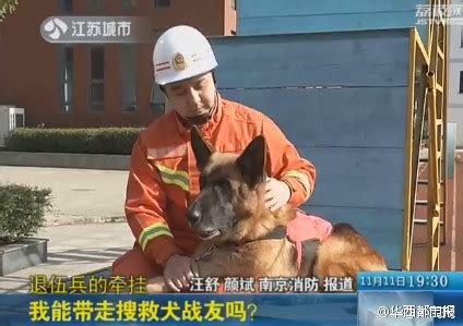 消防战士不舍搜救犬被获准一起退伍(图)_贪玩的佛珠_新浪博客