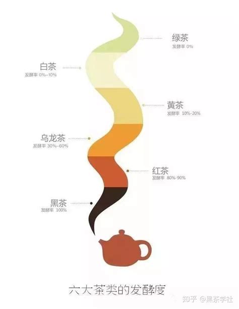 茶叶知识科普大汇总（茶叶知识）- 茶文化网