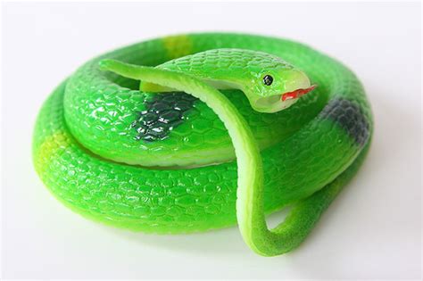心理沙盘动物类蛇的象征意义_长沙市灵心康复器材有限公司