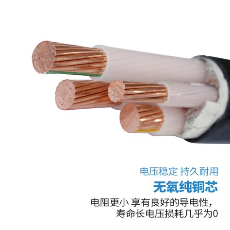 国标铜芯电缆 YJV YJV22 2 3 4 5芯-东台市华美电线电缆厂