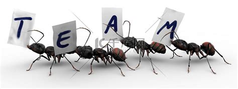 企业文化蚂蚁精神团队建设培训PPT模板_免费下载 - PPT汇