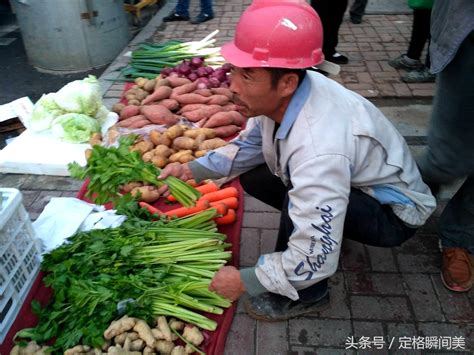 菜园各种蔬菜都整理一些，婆媳俩拿到集市摆摊卖，看今天生意如何_凤凰网视频_凤凰网