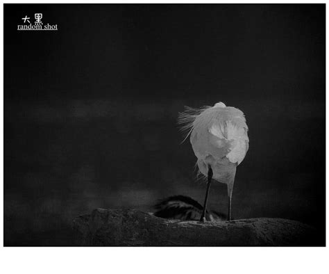 黑与白(二）|摄影|人文/纪实摄影|tamiya - 原创作品 - 站酷 (ZCOOL)
