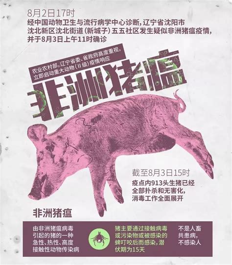 非洲猪瘟防控科普知识 | 中国动物保健·官网