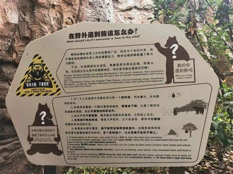 红山动物园认养多少钱 南京红山动物园认养流程及游玩指南 - 旅游资讯 - 旅游攻略