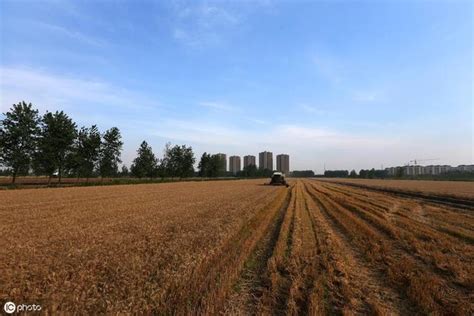 什么叫农户闲置土地,农村闲置土地怎么利用,闲置建设用地是哪些_大山谷图库