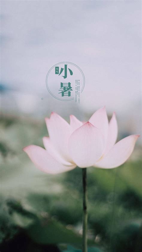 非主流头像唯美诗句