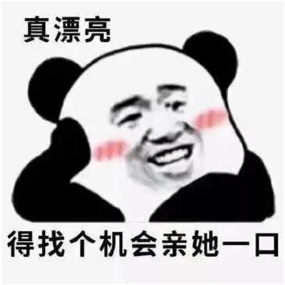 虽然不知道你说的到底什么意思_张学友熊猫头斗图表情包图片-我爱斗图网