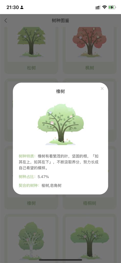 树枝seo按天计费管理系统 - 树枝科技