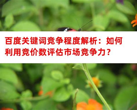 百度关键词竞争程度解析：如何利用竞价数评估市场竞争力？（百度关键词研究）-西安SEO外包优化服务公司