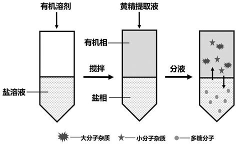 过程工程所提出氮化碳催化可见光-臭氧耦合水处理技术--中国科学院过程工程研究所