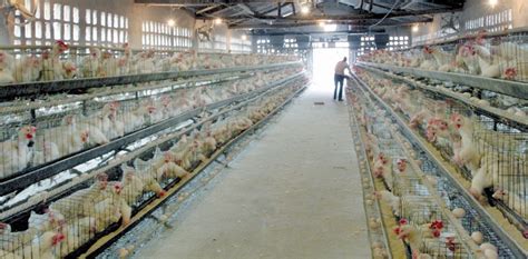 聚焦 四川省剑阁县四种模式推进畜禽养殖污染治理及资源化利用