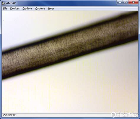 314WiFi数码显微镜 手机通用电子显微镜美容院皮肤毛发检查放大镜-阿里巴巴