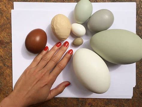Milo Moiré: Schweizer Künstlerin "legt" mit Farbe gefüllte Eier ...