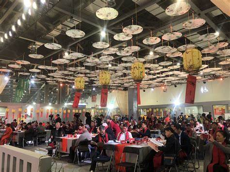 中茶巴马：深度解析品牌性价比与一带一路茶香传承