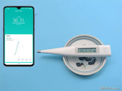 用手机直接测体温app有哪些2022 可以测试体温的软件排行榜_豌豆荚