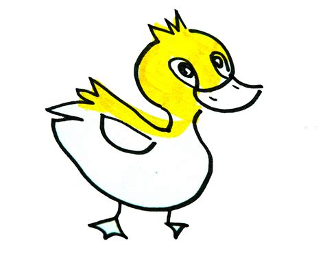 水中的黄色鸭子简笔画画法图片步骤🎬小小画家