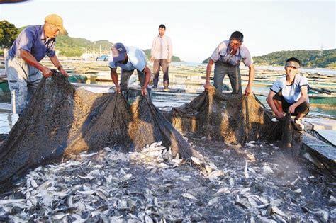 国家海洋渔业生物种质资源库：全球最大的渔业资源库！中国渔业10年发展综述_广东省海洋综合执法总队网站