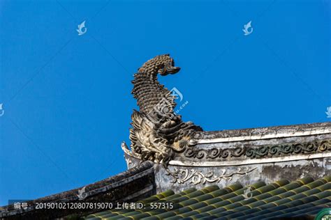 鳌鱼的意义 鳌鱼象征什么