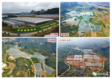 广西贺州着力发展石材碳酸钙产业，点石成金铸辉煌！_园区_工业区_企业