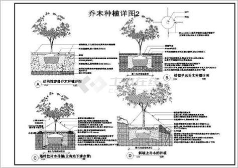 五种不同的乔木灌木种植施工说明详图_cad图纸下载-土木在线