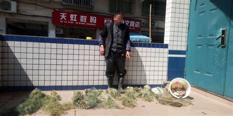 长江禁渔看行动 达州公安破获非法捕捞刑事案件105起_四川在线