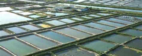 LoRa扩频技术促进智能水产养殖自动化