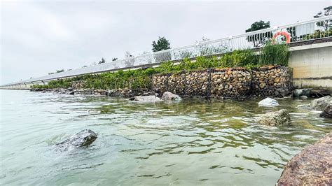 东莞滨海湾新区硬质海堤生态化改造-正和生态-生态环境科技运营商