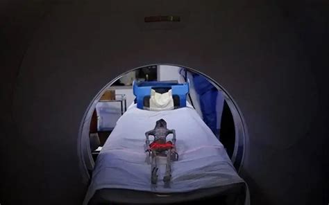 不是人造的？墨西哥“外星人干尸”新进展！X光、CT扫描显示：“干尸”为单一骨架，未经组装或操纵…… | 每日经济网