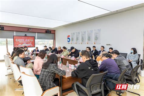 湖南省互联网行业党委：让党旗在互联网企业高高飘扬