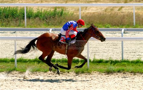 世界顶级赛马节解析——Melbourne Cup 墨尔本赛马节 - 知乎