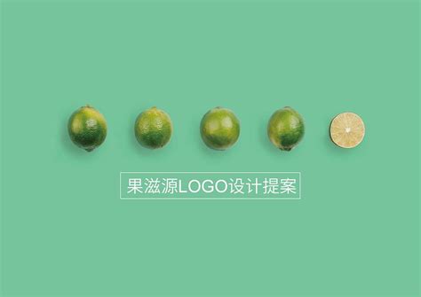 水果品牌LOGO、VI设计 高端水果包装设计|平面|品牌|HIBONA海右博纳_原创作品-站酷ZCOOL