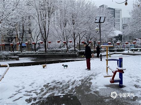 2020北京首场雪刷屏朋友圈 今冬的雪下得很认真-新闻频道-和讯网