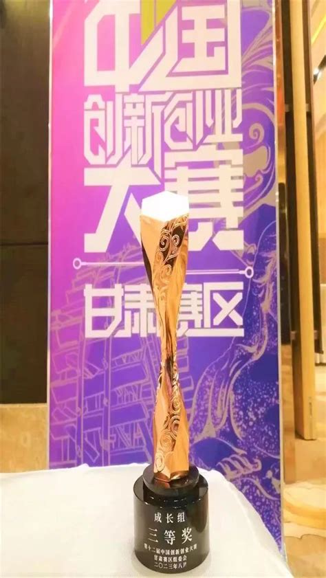 第十二届中国创新创业大赛（甘肃赛区）决赛揭晓 甘肃科技集团所属两企业获奖