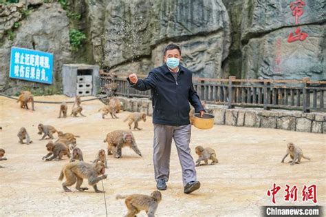 图片故事：瑶山猴鼓舞的“最后”守望人 _深圳新闻网