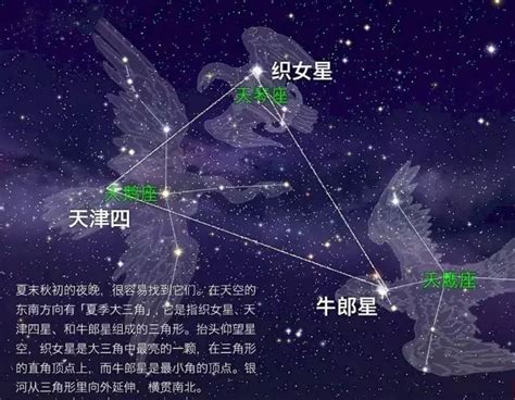 牛郎星和织女星属于什么星座 天鹰座和天琴座 - 第一星座网