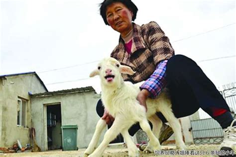 世界上最小的牛在我国浙江，被叫做小狗牛，因肉味鲜美正受青睐