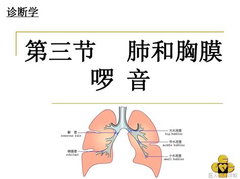 肺与大肠相表里的现代科学思维 - 微医（挂号网）