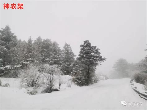 以雪为令 扫雪除冰保畅通_长江云 - 湖北网络广播电视台官方网站