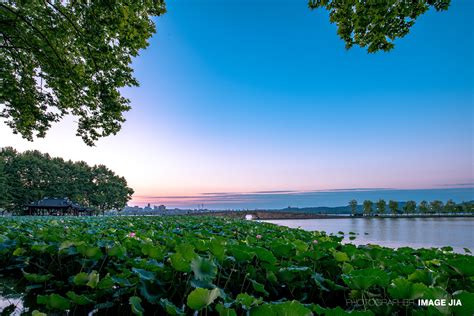 自然景色图片-日落时分的美丽的向日葵花田素材-高清图片-摄影照片-寻图免费打包下载