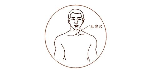天突准确位置图图片