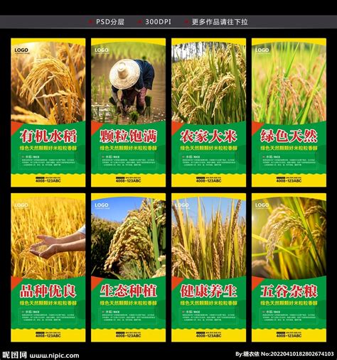 水稻 设计图__广告设计_广告设计_设计图库_昵图网nipic.com