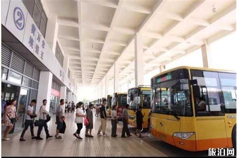 2020济宁城际公交什么时候恢复和恢复路线_旅泊网
