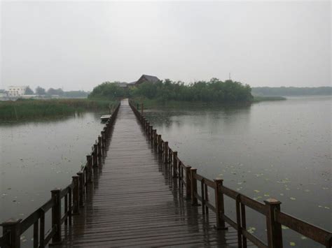 高清美图：大美衡水湖 生态园博园_北京时间