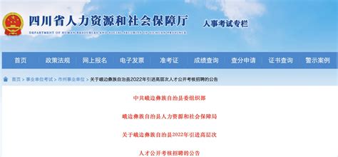 2022年四川省乐山峨边彝族自治县招聘45人公告（报名时间2023年1月6日-13日）