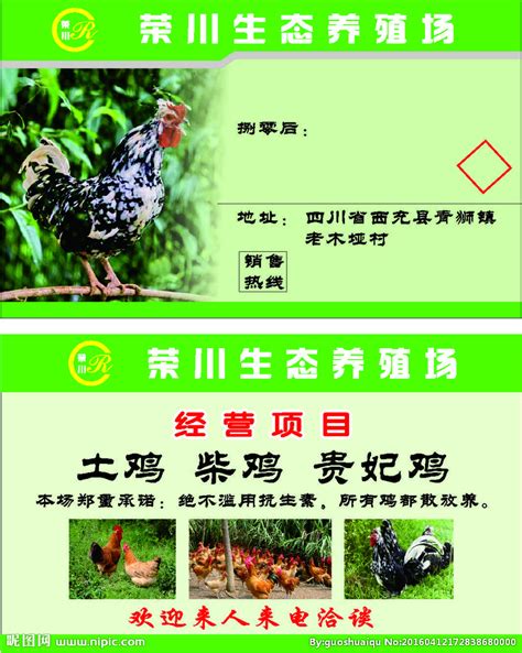 鸡养殖技术-惠农学堂-中国惠农网