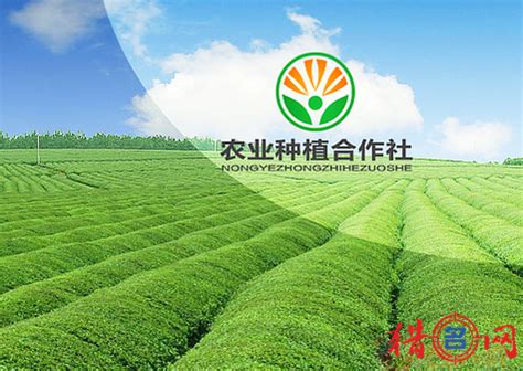 绿色生态农业公司起名(生态农业公司起名大全)_金纳莱网