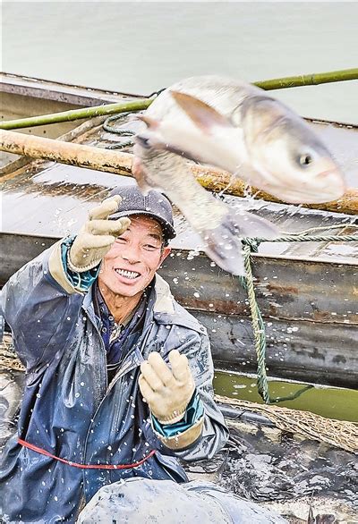 一副渔网卖出90万元，山东这个小镇创造了奇迹_澎湃号·湃客_澎湃新闻-The Paper